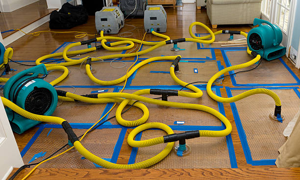 Professional Emergency Water Removal technician working in La Rue, OH