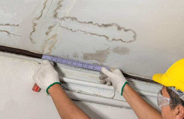 Affordable Water Damage Repair solutions in La Rue, OH